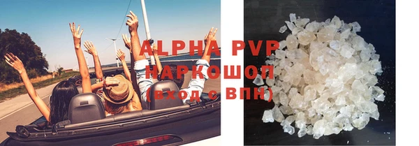 индика Балахна
