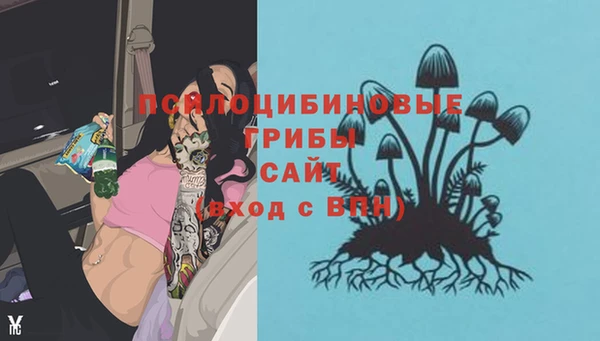 индика Балахна