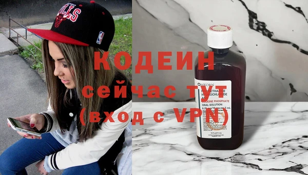 индика Балахна