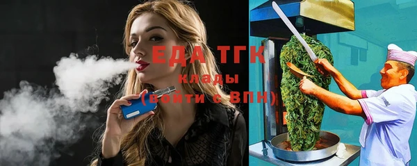 индика Балахна