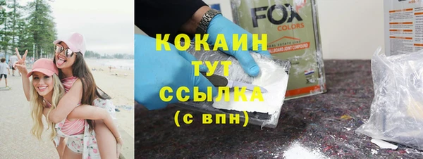 индика Балахна